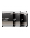 Synology NAS Drive 3.5 16TB 7200 rpm 512MB SATA3 - nr 1