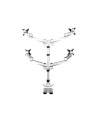 startech QUAD MONITOR MOUNT - PREMIUM/. - nr 27