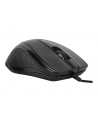 TARGUS ANTIMICROBIAL/USB WIRED MOUSE - nr 13