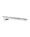 cherry KW 9100 SLIM FOR MAC KEYBOARD/WIRELESS SILVER GERMANY - nr 14