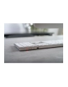 cherry KW 9100 SLIM FOR MAC KEYBOARD/WIRELESS SILVER GERMANY - nr 22