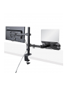 startech MONITOR ARM - VESA MOUNT/. - nr 18