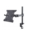 startech LAPTOP D-ESK MOUNT. VESA TRAY/. - nr 1