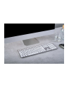 cherry KW 9100 SLIM FOR MAC KEYBOARD/WIRELESS SILVER GERMANY - nr 14