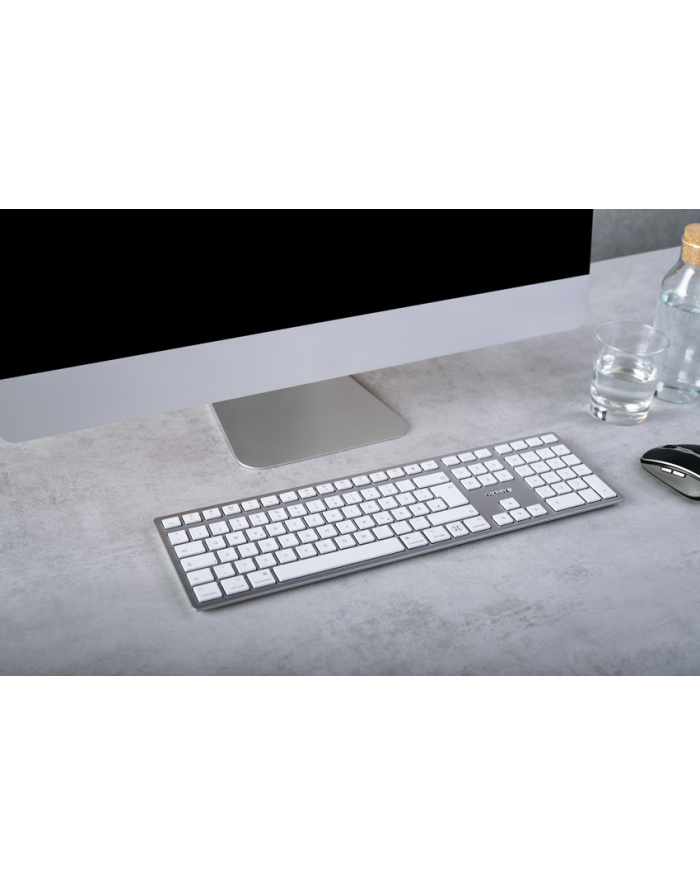 cherry KW 9100 SLIM FOR MAC KEYBOARD/WIRELESS SILVER GERMANY główny