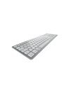 cherry KW 9100 SLIM FOR MAC KEYBOARD/WIRELESS SILVER GERMANY - nr 3