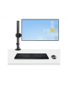 startech LAPTOP D-ESK MOUNT. VESA TRAY/. - nr 10