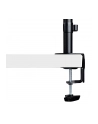 startech LAPTOP D-ESK MOUNT. VESA TRAY/. - nr 23