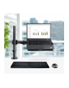 startech LAPTOP D-ESK MOUNT. VESA TRAY/. - nr 25