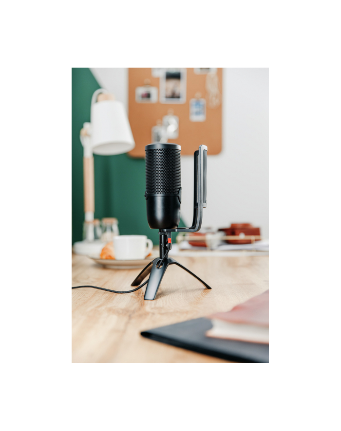 CHERRY UM POP FILTER/ główny