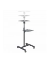 startech PROJECTOR AND LAPTOP STAND/. - nr 21