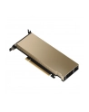 pny technology NVIDIA L4 MODULE 24GB 1X LP/BRACKET LOWPROFILE WITH ATX BRAC - nr 12