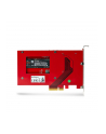 startech M.2 TO U.3 ADAPTER/CONVERTER/M2 NVME SSD TO 2.5INCH U.3 - nr 7