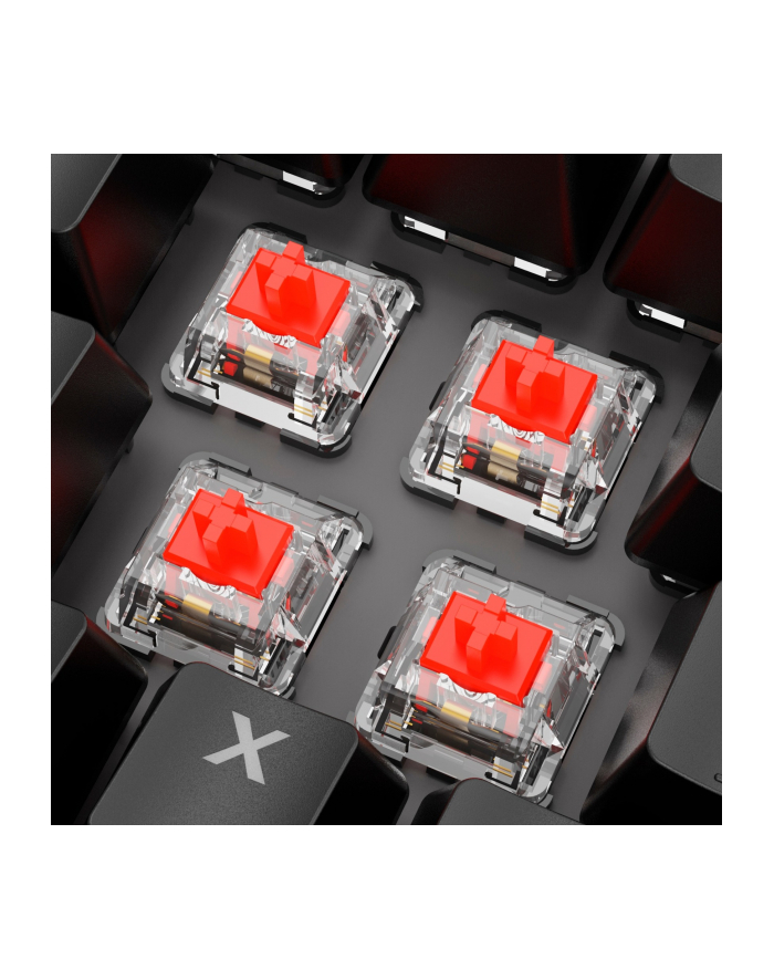 sharkoon SKILLER SGK20 BLACK SWITCH-RED/MECHANICAL KEYBOARD RGB główny