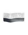 CHERRY KC 4500 ERGO KEYBOARD/CORD-ED GERMAN USB PALE GREY - nr 1