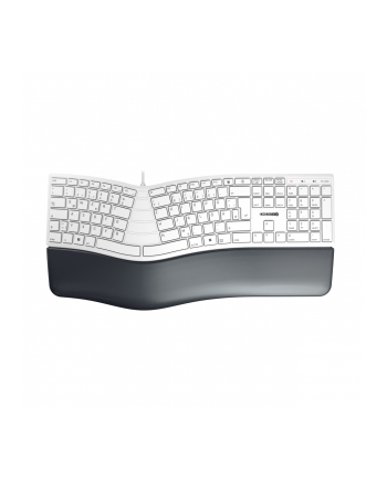 CHERRY KC 4500 ERGO KEYBOARD/CORD-ED GERMAN USB PALE GREY