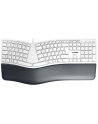 CHERRY KC 4500 ERGO KEYBOARD/CORD-ED GERMAN USB PALE GREY - nr 4