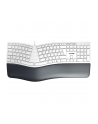 CHERRY KC 4500 ERGO KEYBOARD/CORD-ED GERMAN USB PALE GREY - nr 5