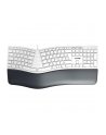 CHERRY KC 4500 ERGO KEYBOARD/CORD-ED GERMAN USB PALE GREY - nr 6