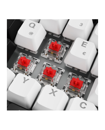 sharkoon SKILLER SGK50 S3 WHITE/GAT RED/HOT-SWAP/75 LAYOUT/SPIRALCAB nr 1