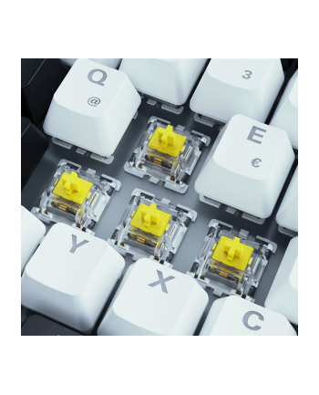 sharkoon SKILLER SGK50 S3 WHT/GAT YELLOW/HOT-SWAP/75 LAYOUT/SPIRALCAB