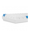 sharkoon SKILLER SGK50 S3 PBT WHITE/HOT-SWAP/75 LAYOUT/SPIRALCAB - nr 10