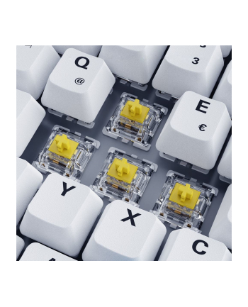 sharkoon SKILLER SGK50 S3 PBT WHITE/HOT-SWAP/75 LAYOUT/SPIRALCAB