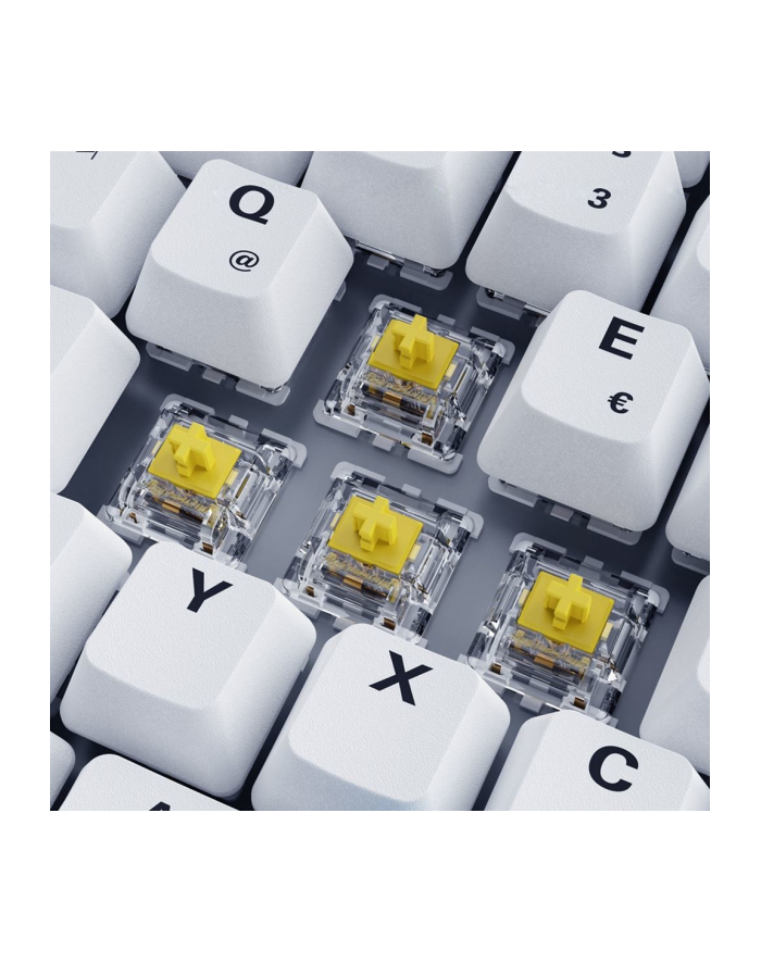 sharkoon SKILLER SGK50 S3 PBT WHITE/HOT-SWAP/75 LAYOUT/SPIRALCAB główny