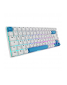 sharkoon SKILLER SGK50 S3 PBT WHITE/HOT-SWAP/75 LAYOUT/SPIRALCAB - nr 7