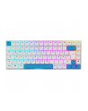 sharkoon SKILLER SGK50 S3 PBT WHITE/HOT-SWAP/75 LAYOUT/SPIRALCAB - nr 8