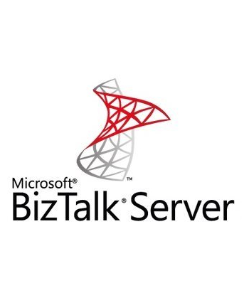 microsoft MS OVL BizTalk Svr EE SA ADD 1Y1Y [NL]