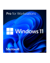 microsoft MS SB Windows 11 Pro for Workstations [D-E] DVD - nr 6