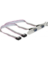 Delock Slotblech Seriell 2-Port DB9 extern +++ Kabellänge 27cm, Belegung: 1:1 - nr 10