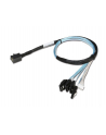 Chenbro OCR Kabel HD Mini-SAS to 4x SATA 0.6m - nr 1