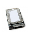no name Dell HDD 35“ / 12TB / 72k / NLSAS / 12Gb / 512e / Hot-Plug / 15G Dell - nr 4