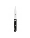 Nóż do warzyw i owoców Zwilling Twin Chef - 10 cm - nr 1