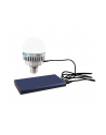 Nanlite PavoBulb 10C 1 light kit (1410041KIT) - nr 10