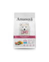 Amanova  GF Puppy Sensitive Salmon Deluxe 2kg - nr 1