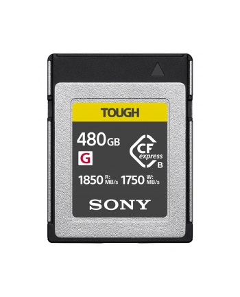 Sony Cebg Series Cebg480T (CEBG480T)