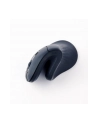 gembird Mysz ergonomiczna 6 przycisków czarna - nr 12
