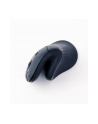 gembird Mysz ergonomiczna 6 przycisków czarna - nr 12