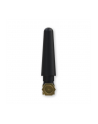 teltonika Antena Mobile SMA Angle-Compact PR1US450 700-2700Mhz - nr 9