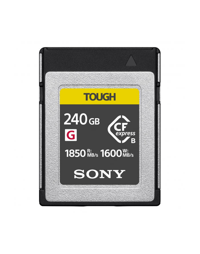 Sony Cebg Series Cebg240T (CEBG240T) główny