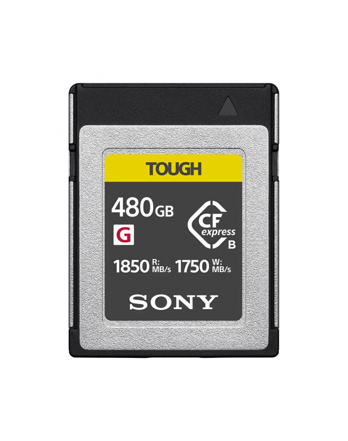Sony Cebg Series Cebg480T (CEBG480T) główny