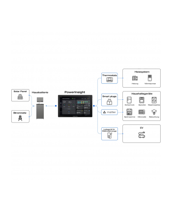 Ecoflow PowerInsight (EU) Home Energy Manager (EFPOWERINSIGHT-EU )