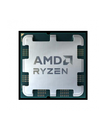 AMD AMD Ryzen 9 9900X