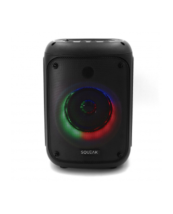 SQUEAK GŁOŚNIK KARAOKE BEATFLOW BLUETOOTH 50 + EDR, RADIO FM, MICROSD, AUX, USB SQ1005