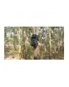 Braun Phototechnik Kamera Obserwacyjna Scouting Cam Black 1300 Wifi (1300WIFI) - nr 6