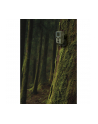 Braun Phototechnik Kamera Obserwacyjna Scouting Cam Black 800 Mini (800MINI) - nr 4
