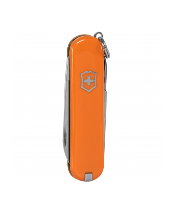 Victorinox Scyzoryk Classic Mango Tango 0.6223.83G